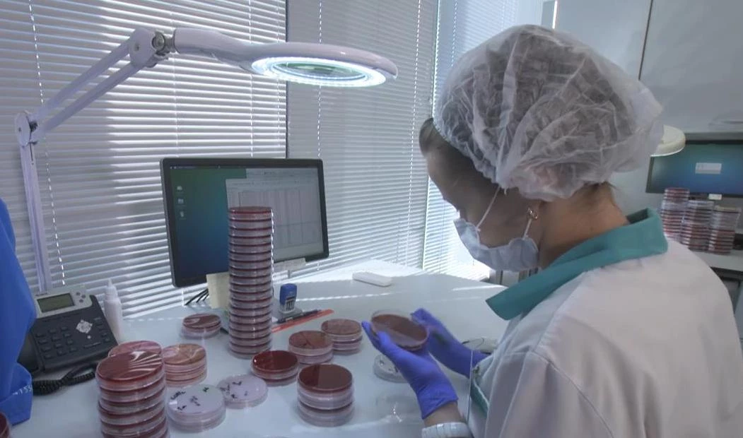 Лаборатория без границ: медицинские технологии из Германии в Петербурге - tvspb.ru