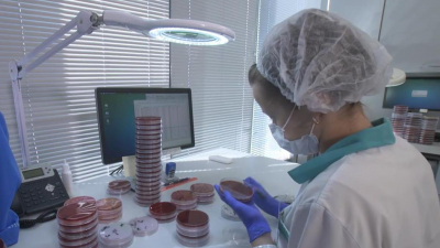 Лаборатория без границ: медицинские технологии из Германии в Петербурге