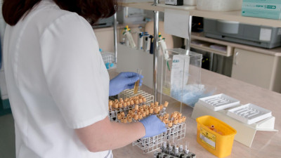 Эксперт рассказал, зачем нужно сдавать стволовые клетки