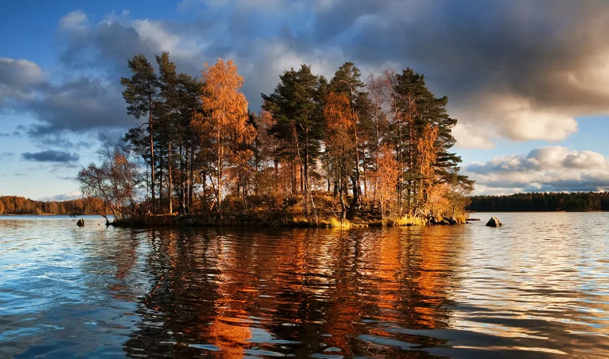 Проект путешествия по Карельскому перешейку стал лучшим детским турпроектом - tvspb.ru