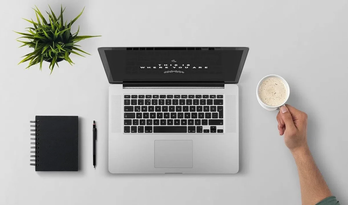 В Петербурге специалисты IT-сферы стали получать на 23% больше - tvspb.ru