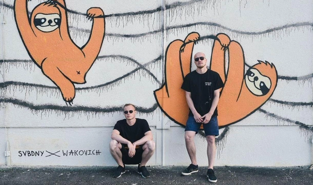 Коммунальные службы закрасили граффити с ленивцами у ЗСД - tvspb.ru