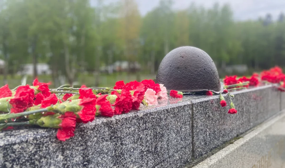 Петербург и Пермский край объединят совместные проекты сохранения памяти о войне и блокаде - tvspb.ru