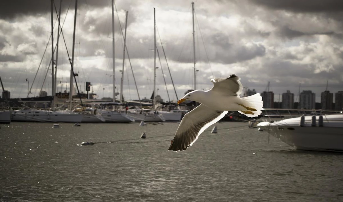 У морских портов России на 3% уменьшился грузооборот - tvspb.ru