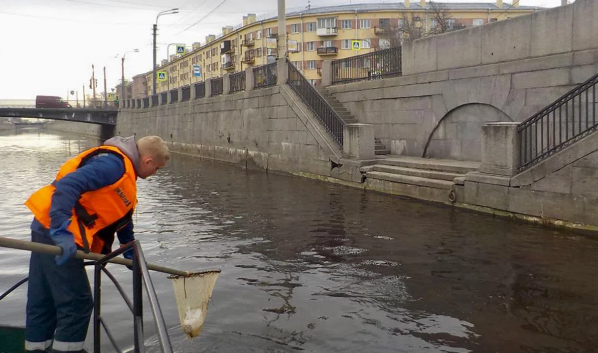 От наплавного мусора в мае очистили 338 водных объектов Петербурга - tvspb.ru