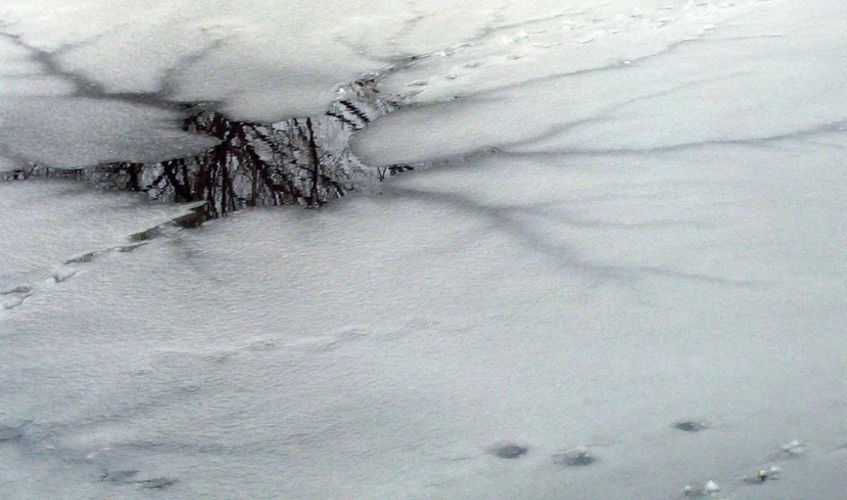 Спасатели нашли тело женщины, утонувшей в реке Оредеж на Крещение - tvspb.ru