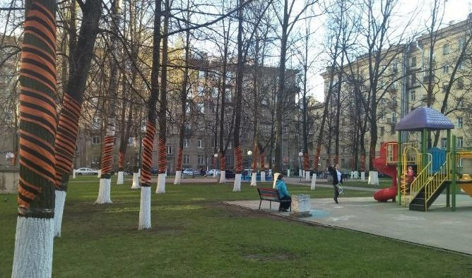 В нескольких петербургских дворах деревья нарядили георгиевскими лентами - tvspb.ru