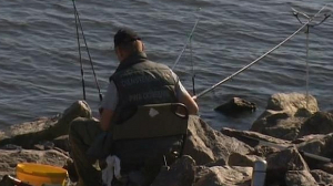 Рыбакам от рыбака: секреты рыбной ловли.