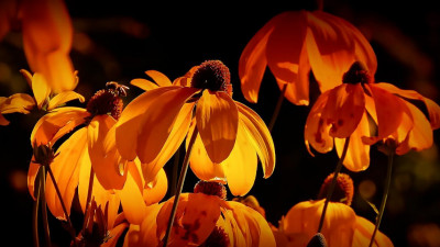 Ученые спрогнозировали к 2100 году почти полугодовое лето в северном полушарии