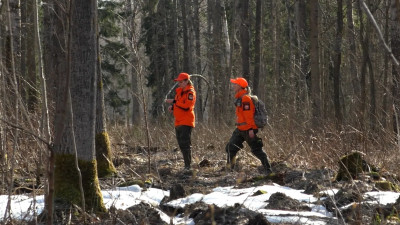 Более 8 тысяч спасенных за 10 лет: Петербургский отряд «Лиза Алерт» отмечает юбилей