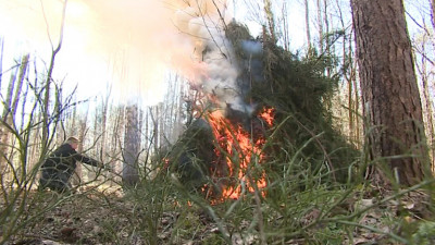 В Ленобласти ввели режим лесной пожарной опасности