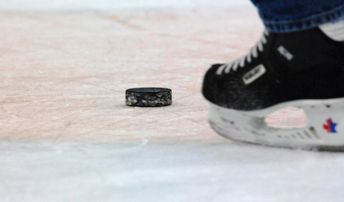 В Рощино разрешили строительство новой ледовой арены - tvspb.ru