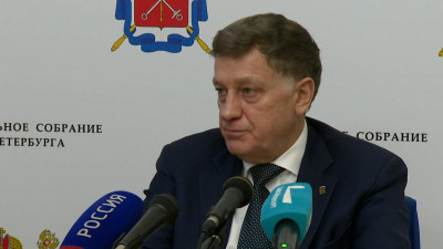 Вячеслав Макаров прокомментировал инцидент с участием депутата Максима Резника