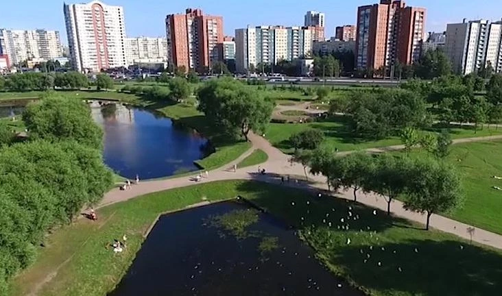 Парк «Малиновка» благоустроят в 2020 году - tvspb.ru