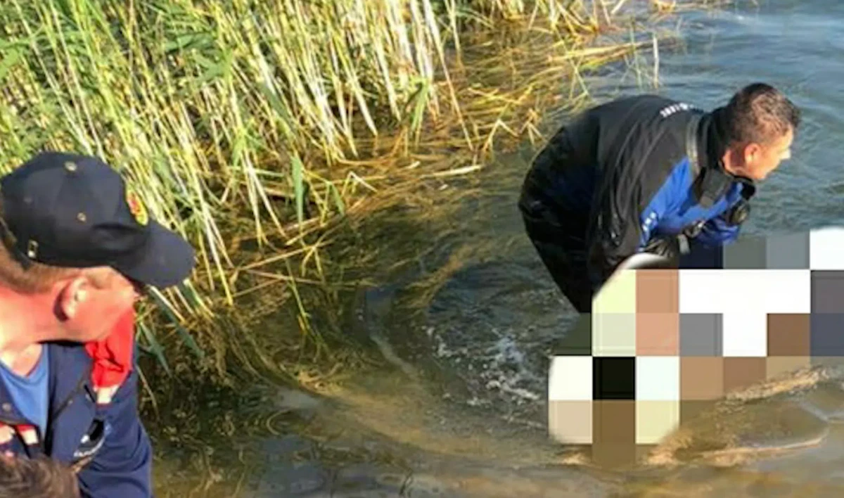 В поселке Шапки утонула 15-летняя девушка - tvspb.ru
