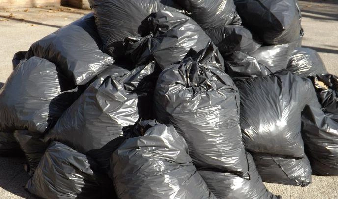 В субботник в парке 300-летия собрали более 100 мешков мусора - tvspb.ru