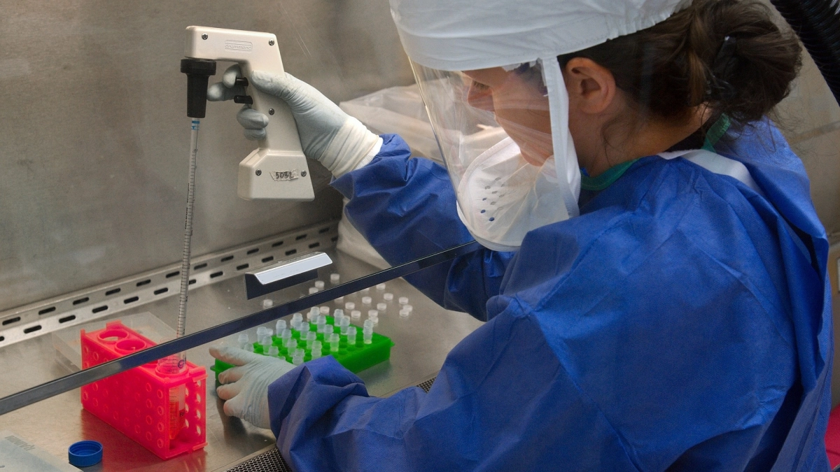 НИИ гриппа ищет учёных, которые смогут протестировать новую вакцину от Эболы - tvspb.ru
