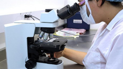 Ученые выяснили, что жизнь на Земле появилась благодаря мели и цианиду