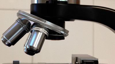 Петербургские ученые получили премию президента РФ за открытие амилоидных белков