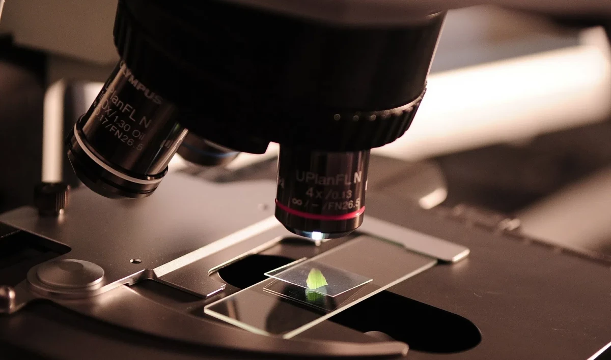 На создание молодежных лабораторий вузам Петербурга выделили 90 млн рублей - tvspb.ru