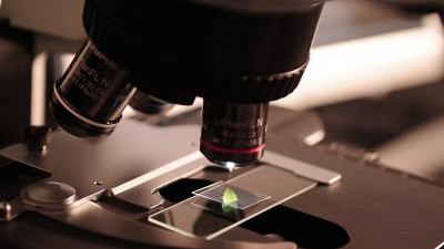 В понедельник более 17 тысяч петербуржцев сделали прививки от коронавируса