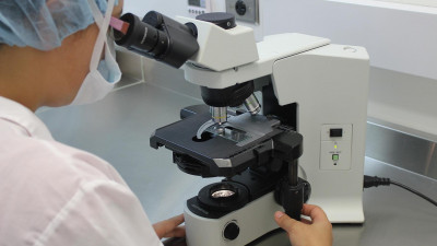 Петербургские ученые создали искусственный хрящ для лечения позвоночника