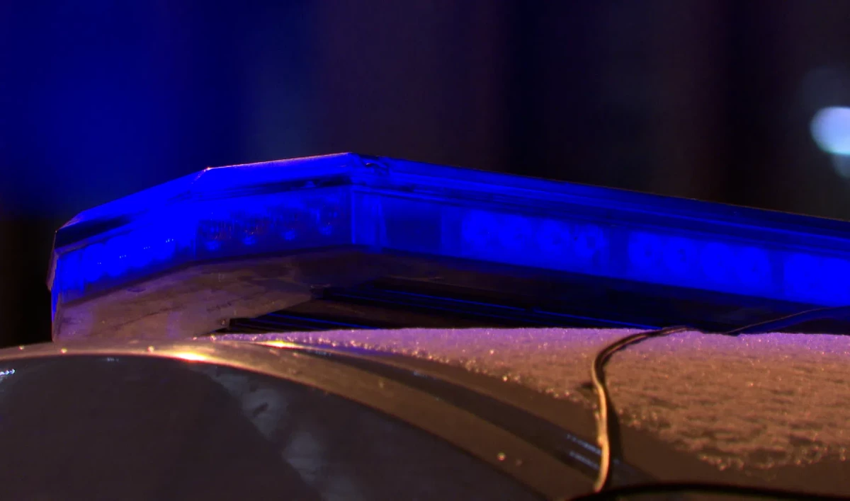 В квартире на улице Ефимова накрыли притон с проститутками - tvspb.ru