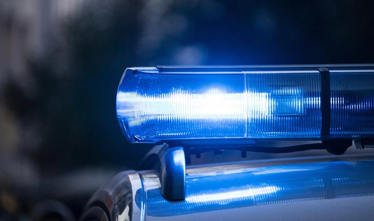 В офис IT-компании на юго-западе Петербурга с обысками пришли силовики - tvspb.ru