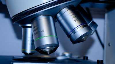 Ученые оценили перспективы использования цинка для профилактики COVID-19