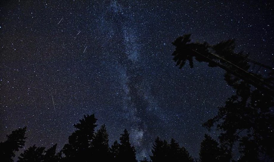 Петербуржцы смогут увидеть самый яркий звездопад этой осени - tvspb.ru