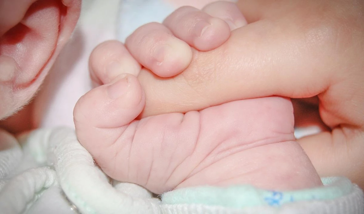 Получить выплаты на первого ребенка петербурженки могут в МФЦ - tvspb.ru
