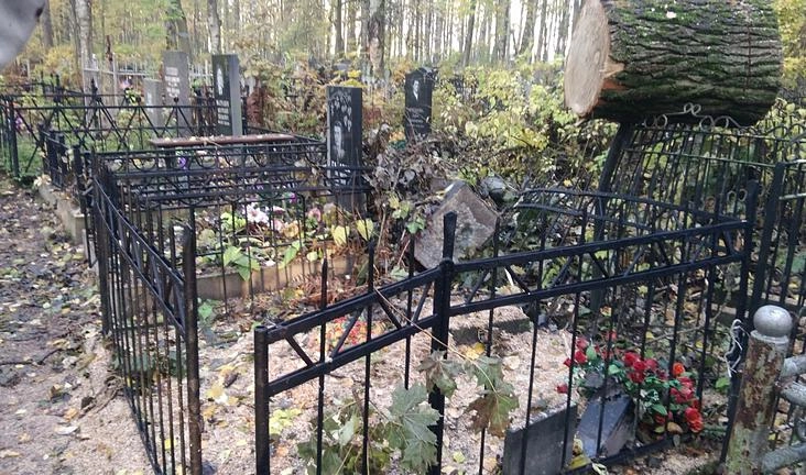 На Серафимовском кладбище спиленные деревья обрушились на надгробия - tvspb.ru