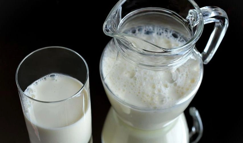 Молоко, продающееся на прилавках Петербурга, соответствует всем требованиям - tvspb.ru