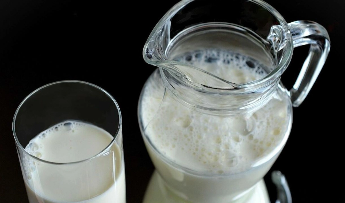 Ученые: Повышенное употребление молока может вызвать рак - tvspb.ru