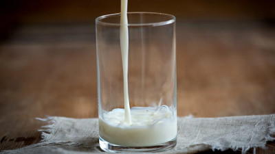 К осени в России может подорожать молоко