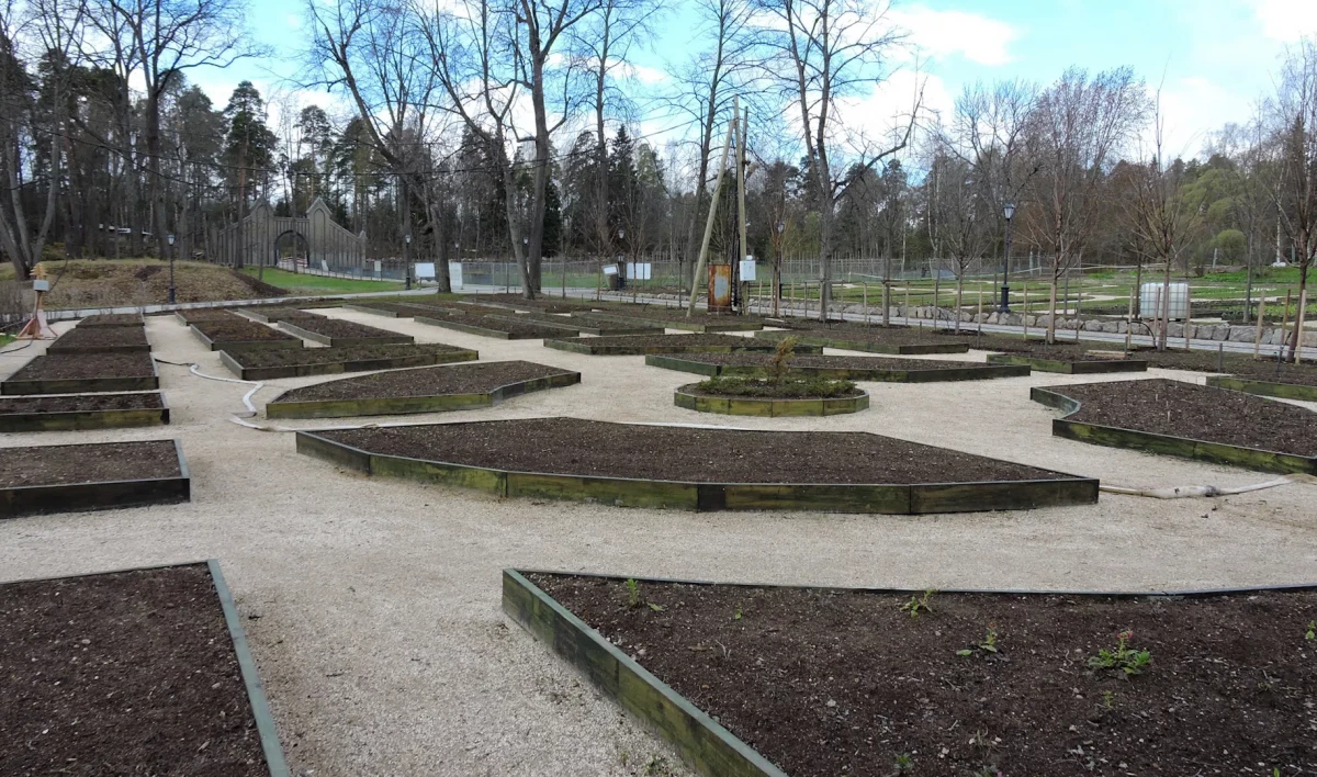 В парке «Монрепо» воссоздали усадебные огороды - tvspb.ru