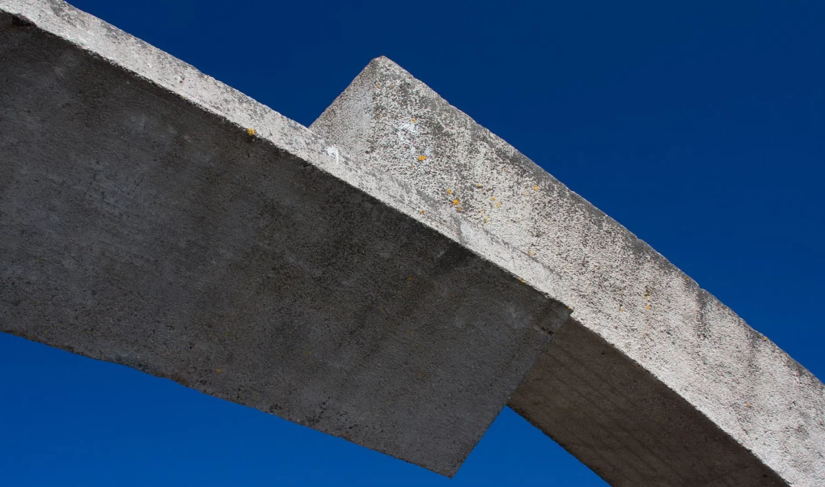 В Минске открылась выставка «Символы блокадного Ленинграда» - tvspb.ru