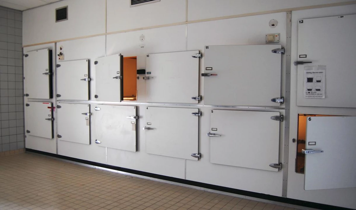 Конкуренция в крематории. УФАС выдало предупреждение «Ритуальным услугам» - tvspb.ru