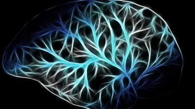 Биологи нашли способ защитить клетки мозга от коронавируса