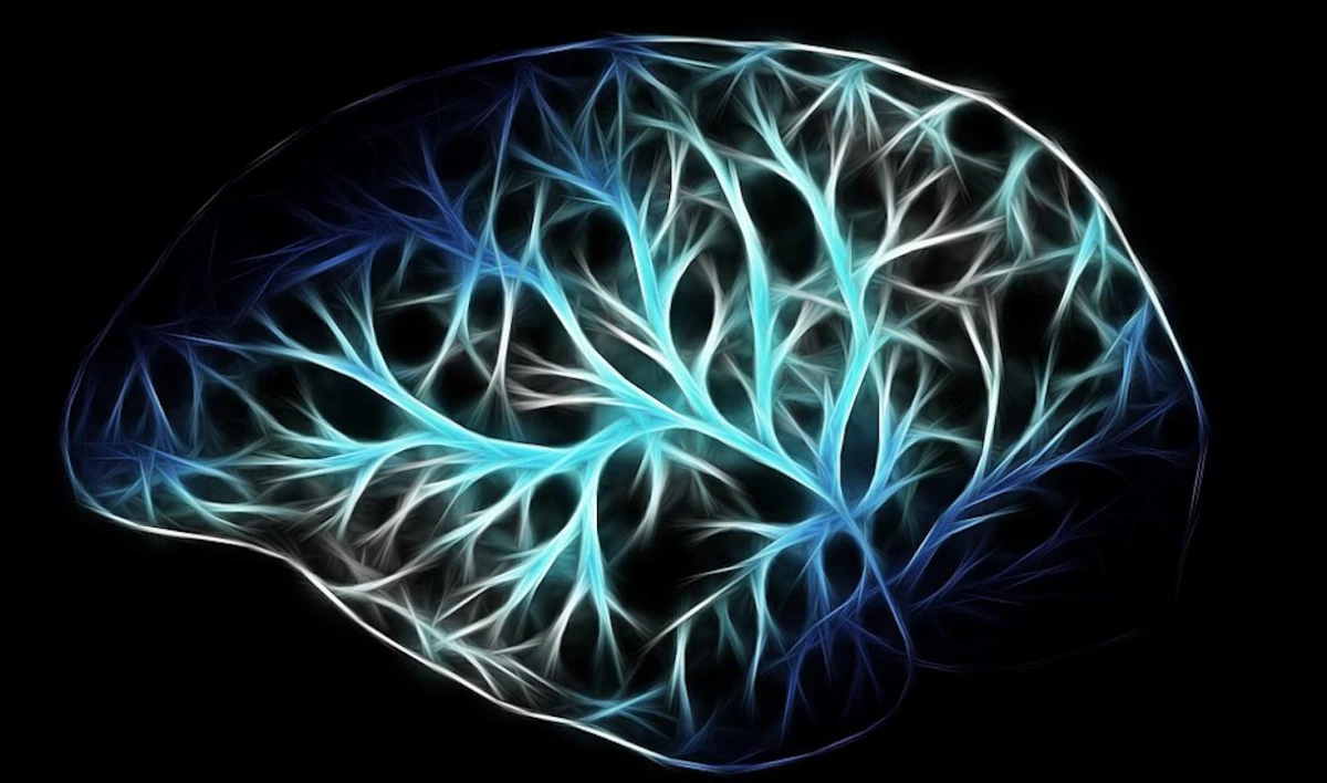 В петербургском институте появилась первая в России ультразвуковая система лечения головного мозга - tvspb.ru