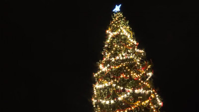 На Дворцовой площади готовятся к демонтажу главной новогодней ели Петербурга