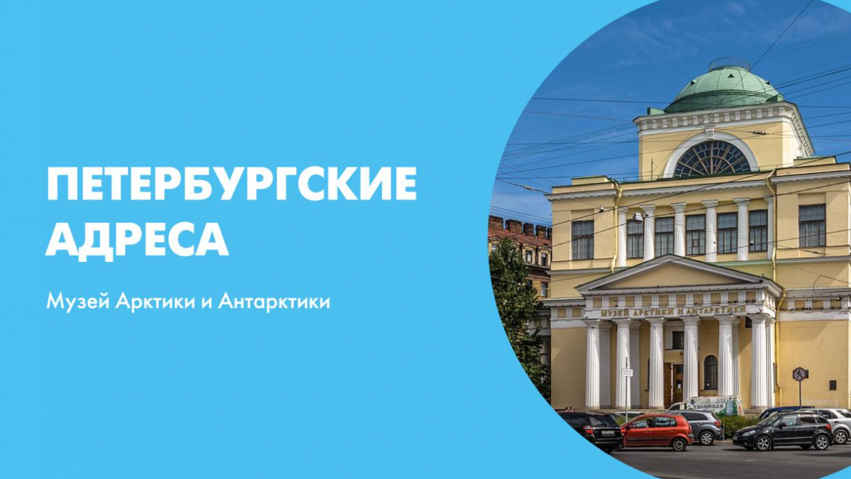 Петербургский адрес. Музей Арктики реклама.