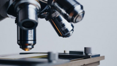 Ученые рассказали о более 500 мутациях коронавируса