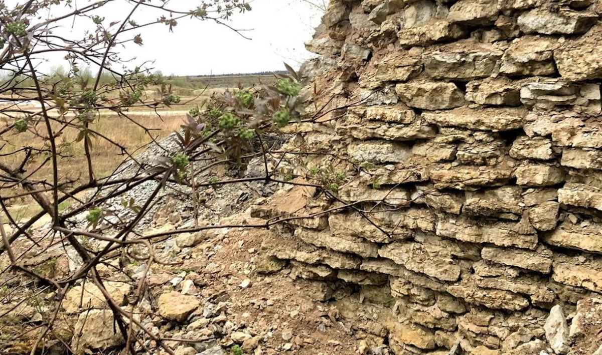 В развалинах Алексеевского карьера в Ленобласти нашли старинное сооружение с окаменелостями - tvspb.ru