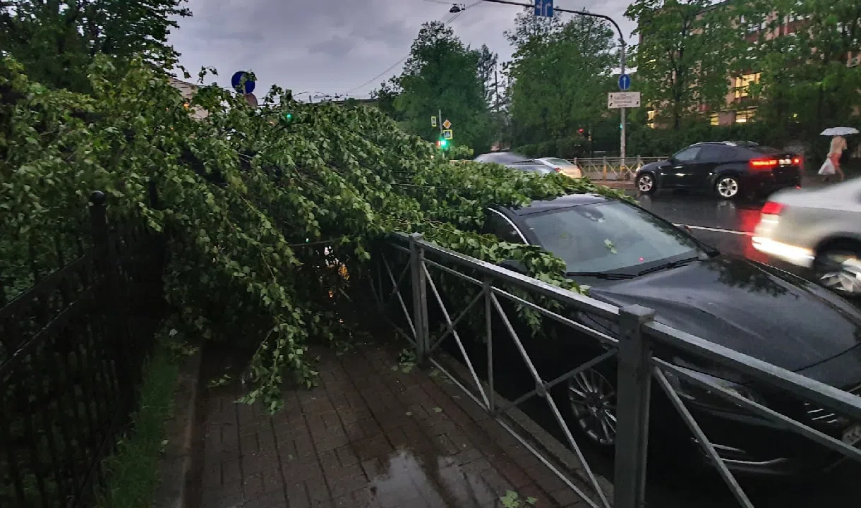 Сильный ветер в санкт петербурге