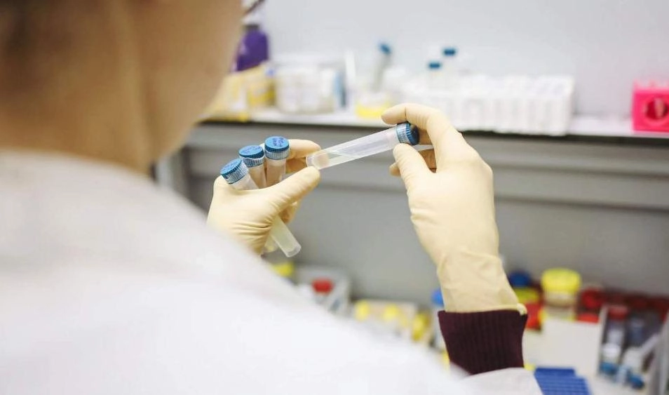 В России за сутки провели более 193 тысяч тестов на коронавирус - tvspb.ru