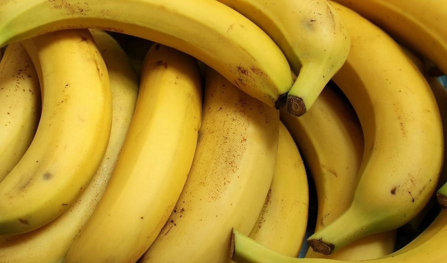 50 кг наркотиков прибыли в Петербург вместе с бананами из Эквадора - tvspb.ru