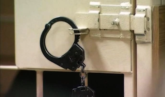 Совфед ужесточил уголовное наказание для лидеров ОПГ - tvspb.ru