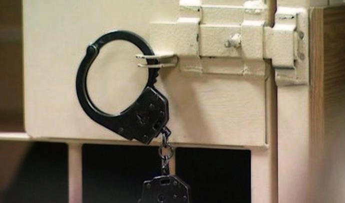 Уроженку Молдавии, разыскиваемую за торговлю людьми, задержали в Ленобласти - tvspb.ru