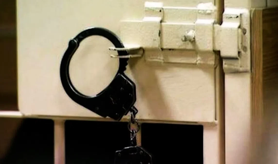 В Петербурге поймали подозреваемого в развращении девочки у лицея инженера - tvspb.ru